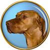 Cane Ungherese Vizsla Distintivo di Lapel Pin