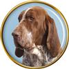 Bracco Italiano Cane Distintivo di Lapel Pin