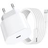 RS Caricatore a ricarica rapida per iPhone, 20 W con cavo per iPhone da 1 m, caricatore USB C con cavo compatibile con Lightning ricarica rapida per iPhone 14/14 Plus/14 Pro/14 Pro Max/13/12/11/X, iPad