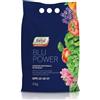 BERARDI FORTYL Concime Universale per Orto e Giardino a Lenta Cessione NPK 12.12.17 Blue Power 4 kg