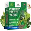 LERAVA Fertilizzante piante verdi al coperto (800 g) - Fertilizzante biologico con ferro e manganese per fogliame vigoroso - nutrizione completa per piante verdi interni ed esterni