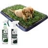 PetZolla Pack 4 - S - PetZolla: Prato Vero con Vassoio 60×40 cm, Spray Neutralizzatore e Attrattivo - Cuccia per cane. Lettiera Naturale per Cani. Alternativa Ecologica a Traversine e Tappetini per Pipì