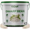 GiDeli Fagioli Bianchi Secchi 1kg Ricchi di Proteine, Legumi Naturali | Senza Additivi, Ideali per Zuppe, Stufati, Insalate, Cucina, Gastronomia, Catering