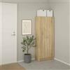 Dmora - Scarpiera Oceane, Mobile portascarpe, Armadio da Ingresso Multiuso, Mobiletto per Calzature, 69x35 h170 cm, Quercia