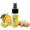 MyEssence Gocce Toilet 30ml, Made in Italy - Deodorante Tascabile WC e Bagno - Pre-Uso Before You Go - Profumatore da Borsetta per Viaggi - Elimina Odori - Fragranza Agrumi e Zenzero (1pz)
