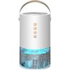 buusace 1300 ml, deumidificatore elettrico piccolo, timer a tre livelli, regolazione dell'illuminazione ambientale, arresto automatico in piena acqua, per appartamento bagno, cantina (bianco)