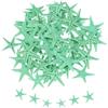 QUARKZMAN 60Pcs 0.4-0.8 Piccole Stelle Marine Naturali Fai da Te Verde | Conchiglie All'Ingrosso, Per Matrimoni A Tema Spiaggia, Per Party, Per Casa, Per Vaso, Stelle Marine