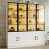 Chatsly Vetrina in vetro fumé, telaio in alluminio, 120 x 40 x 160 cm, due ante nella parte inferiore, vetrina combinata, libreria, credenza, bianco