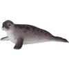 MOJO Science4you - Figura Foca, in plastica, taglia L, colore grigio (787.0)