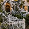 Huanmin Set da 60 Mini Ragni di Halloween con 280 g di Ragnatela Bianca - Decorazione Horror, Decorazione a Ragnatela per Halloween dal Design Realistico. Perfetta per Giardino, casa, Feste e Case stregate