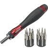 Rolson 28286 - Set di cacciaviti di precisione a cricchetto da 15 pezzi