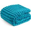 Bedsure Coperta Pile Divano Letto - Coperte per Divano 150x200 Verde Acqua | Morbida Coperta da salotto, Coperte da salotto e Coccolose, Copridivano, Copriletto, Coperta da divano, OEKO-TEX