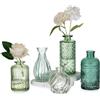 Glasseam Vasi da Tavolo in Vetro per Casa: 5 Piccoli Vasi Verdi per Tavolo | Set di Vasi da Fiori, Soggiorno, Ufficio, Tavoli da Pranzo, Davanzale, Decorazioni Estive e Autunnali, Regalo per Compleanno