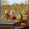 WandSticker4U®- Adesivi finestra autunno RICCIO & FOGLIE (64x47 cm) I Adesivi per vetro autunno bambini animali riutilizzabili I Decorazioni autunnali per finestre casa