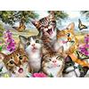 Bimkole Kit di pittura con diamanti 5D per pittura a forma di gatto, con fiori, fai da te, per pittura a punto croce, decorazione con diamanti (30 x 40 cm)