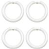 Janasiba 4 Pezzi FC8T9/CW Lampadina Fluorescente Circolare, Lampadine Circolari T9 Rotonde da 8 Pollici 22W di Ricambio per Apparecchi da Soffitto Circolari