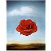 Vestin Stampa in Poster o Tela Canvas 100% QUALITà ITALIA - Dalì - La rosa meditativa - effetto Dipinto Idea Regalo Casa quadro cucina stanza da letto soggiorno (TELA CANVAS, 60X77 CM)