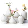 WARMWOO Set di 6 vasi in ceramica bianca per fiori, dipingi il tuo set di vasi in ceramica, design moderno, vasi in ceramica, vasi decorativi per soggiorno, sala da pranzo e scaffale