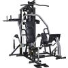 HOZ Horizon Fitness Stazione Multipla "Torus 5