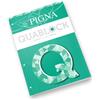 Pigna Quablock A4, Quaderni a Quadretti, 5 pezzi
