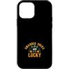 St Patrick Day Gifts & Shamrock Socks Gi Custodia per iPhone 12 mini I calzini Shamrock per il giorno di San Patrizio sono