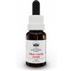 AUSTRALIAN BUSH FLOWER ESSENCES YELLOW COWSLIP ORCHID GOCCE 15 ML