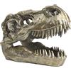 HEINBOW T-rex Trofeo a forma di testa di dinosauro, finta tassidermia, statua tirannosauro Rex, teschio, scultura fossile, statuetta per casa, scrivania, uomo, decorazione per grotta, lunghezza 19 cm