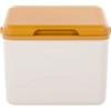Generisch Borsa frigo isolata, da campeggio, 5 litri, per portapranzo | Impermeabile per campeggio, picnic, attività all'aperto, escursioni, viaggi, pesca, barbecue, viaggi su strada, auto, barca
