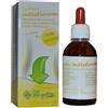 FITOSYSTEM DI C.G. Fitosystem Snc System Intestinum 50 Ml