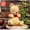 Bandai RARO Disney Winnie The Pooh HUNNY FUNNY STORY Kuji Peluche Da GIAPPONE