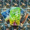 LO SCARABEO Carte Tarocchi Fairy Lights 78 Carte Lo Scarabeo Con Manuale Nuove