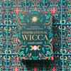LO SCARABEO Carte Oracle Wicca Ispirazione Spedizione Spirituale Con Guida LO SCARABEO
