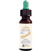 ALCHIMIA BENOIT Srl Fiori di Bach, Aspen, 10 ml
