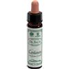 SANTIVERI Sa CENTAURY 10ML AINSWORTHS