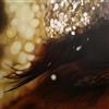 Memory Tapes Grace/Confusion Album