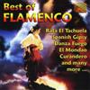Various Artists Best of Flamenco (CD) Album