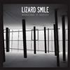 Lizard Smile Wandering in Mirrors (Vinyl LP)