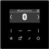 Jung Smart DAB+ radio digitale Bluetooth FM, DAB+ - Ricevitore radio DAB LS BT SW
