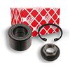 FEBI BILSTEIN Kit cuscinetto ruota 19183 Hinterachse beidseitig | Compatibile con: FORD FIESTA V, FIESTA V Van, FIESTA VI, FOCUS I, FOCUS I Stufenheck, FOCUS I Turnier, FUSION, MAZDA 2