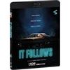 Eagle Pictures It Follows - I Magnifici 4K (Bd 4K + Bd Hd)