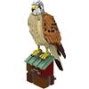 BlueBrixx Pro 108733 - Falco di palude - Animali da stringere - 774 pezzi - Set di mattoncini da costruzione per uccelli
