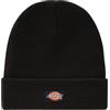 Dickies GIBSALND Berretto Cappello Logo Unisex Nero'