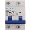 ETTROIT Interruttore magnetotermico 2P 80A 6 kA JX128060