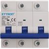 ETTROIT Interruttore magnetotermico 3P 100A 6 kA JX1310060