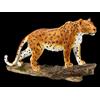 Figura Di Leopardo Su Un Ramo - Felino Selvatico Puma Panther