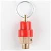 KANGWFAN Valvola di sicurezza per compressore d'aria, valvola di sicurezza, valvola di limitazione della pressione, regolatore di pressione Heavy Duty, accessorio per compressore d'aria, filettatura 1/8, 0,78