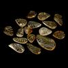 Gemsporium A Mano Foglia Intagliato Naturale Giallo Citrino Brasile 16pcs 50.50ct 23x13mm