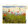 Calvendo Un motivo del calendario Rosen und Mohnblüten Momente Schweizer Edition 1000 pezzi puzzle paesaggio 640x480mm, Design Fotografie di Tanja Rie; 7275126