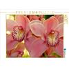 Calvendo Orchidee 1000 pezzi puzzle paesaggio 640x480mm, Lielischkies Klaus; 7276825