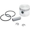 QEOQWQB Kit pistone cilindro | For P//o//u/l/a/n 1900 1950 1975 2025 2050